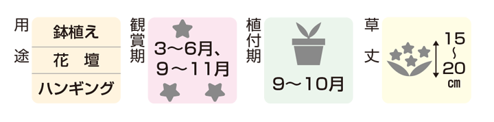 インフォメーションアイコン