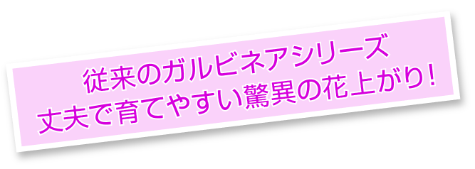 従来のガルビネアシリーズ