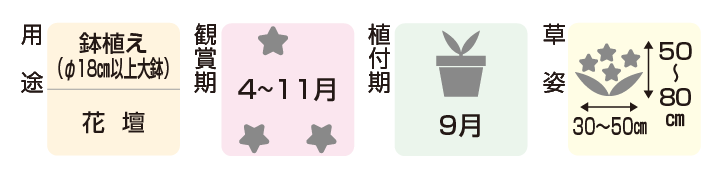 インフォメーションアイコン
