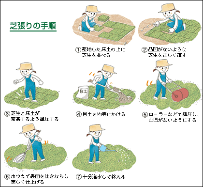 芝生の作り方 芝 芝生なんでも百科 芝 緑化 緑肥 タキイ種苗