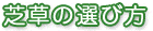 芝草の遊び方