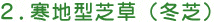 2.寒地型芝草(冬芝)