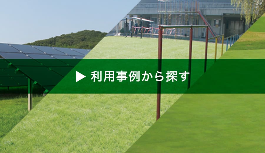芝草品種の利用事例紹介｜芝・緑化・緑肥 - タキイ種苗