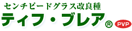 センチピードグラス改良種 ティフ・ブレア® (PVP)
