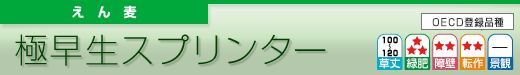 極早生スプリンター