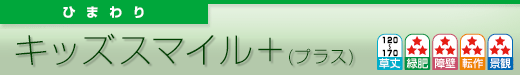 キッズスマイル+(プラス)