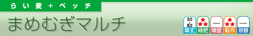 まむむぎマルチ