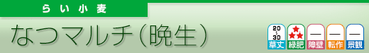 なつマルチ(晩生)