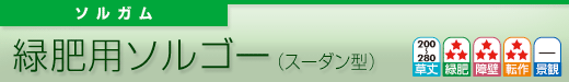 緑肥用ソルゴー
