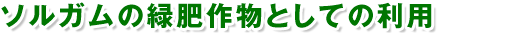 ソルガムの緑肥作物としての利用