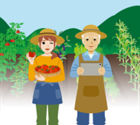 タキイ種苗株式会社