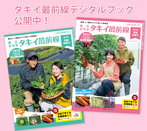 �^�L�C�őO���f�W�^���u�b�N���J���I