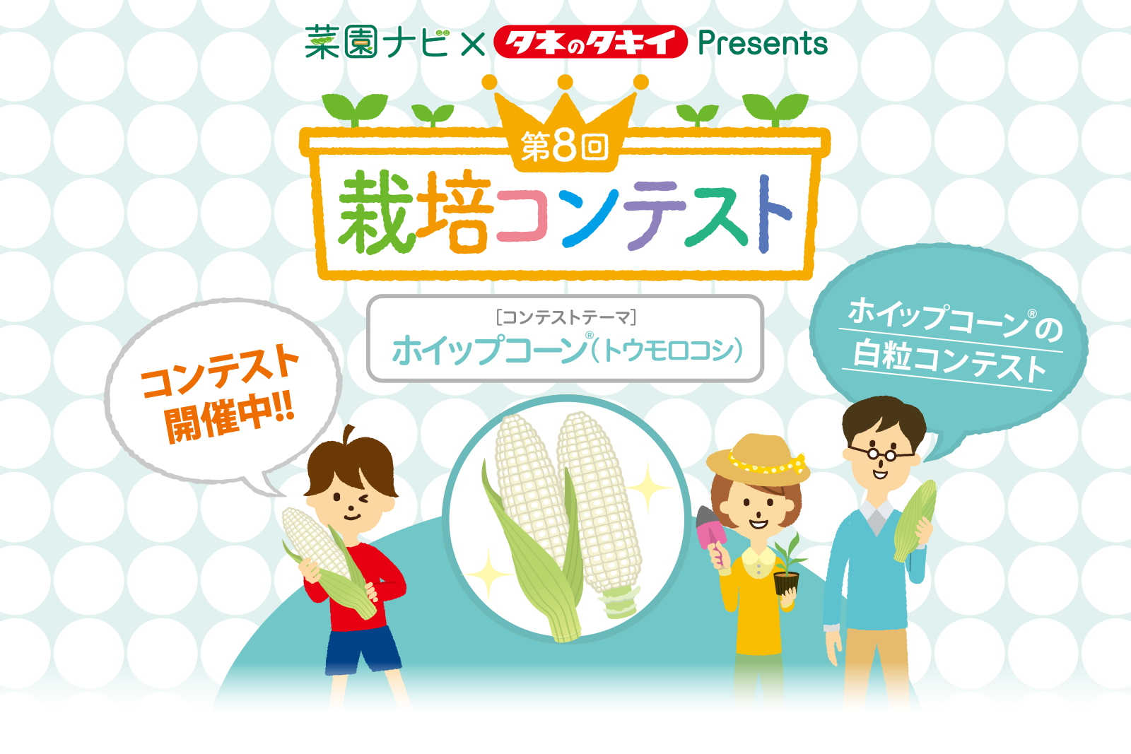 タキイ種苗株式会社 タキイ種苗株式会社