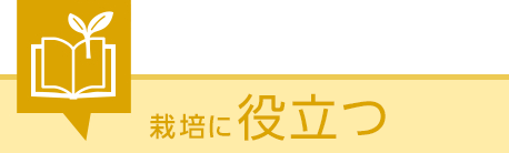 タキイ種苗株式会社 タキイ種苗株式会社