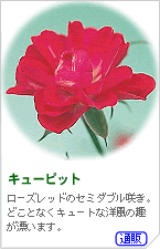 L[sbg