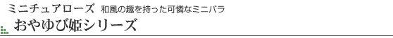 a̎ȃ~jo