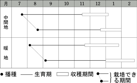 作型表