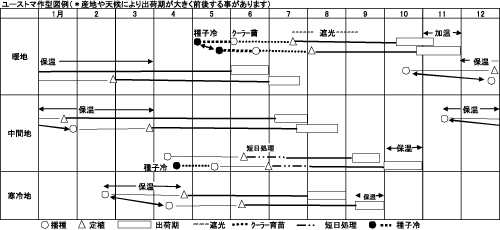 作型表