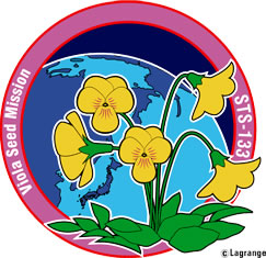 「ビオラ・ミッション」ロゴ