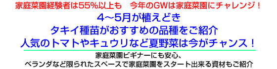 ƒ؉o҂55%ȏ@NGW͉ƒ؉Ƀ`WI
4`5Aǂ
^LCc߂̕iЉ
lC̃g}gLEȂǉĖ؂͍`XI
ƒ؉rMi[ɂSA
x_ȂǌꂽXy[Xŉƒ؉X^[go鎑ނЉ