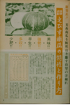新発表記事（1964年） ※タキイ種苗発行『園芸新知識』より