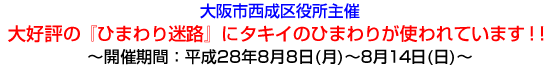 大阪市西成区役所主催　大好評の『ひまわり迷路』にタキイのひまわりが使われています！！　〜開催期間：平成28年8月8日（月）〜8月14日（日）〜