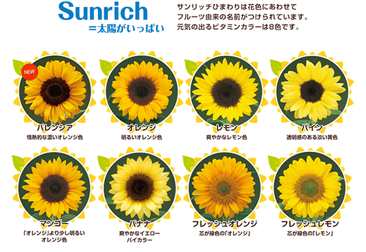 Sunrichzς