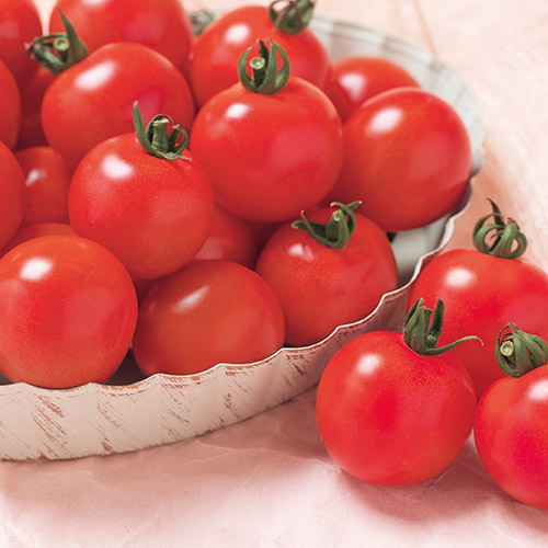 10月10日は トマトの日 トマトに関する意識調査 を実施 インフォメーション