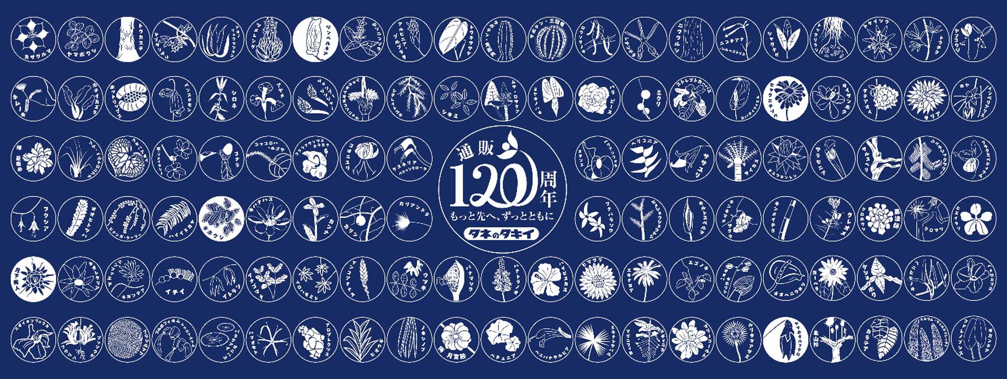 120種類の植物イラスト「葉葉日和(ようようびより)」の手ぬぐいデザイン