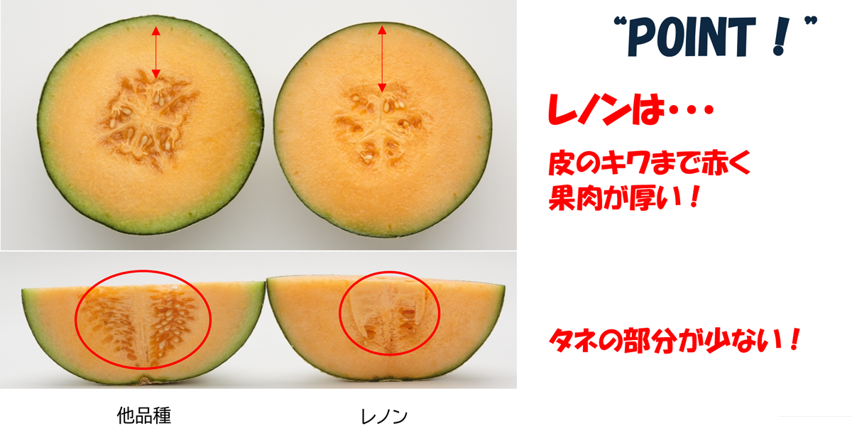 「レノン」メロンと他品種の果肉の違いの画像とPOINT