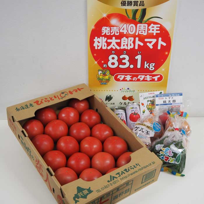 y^LCc Dܕiz83.1L̓Yg}g̉摜