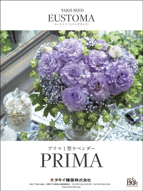 ���[�X�g�}�̉摜�Q