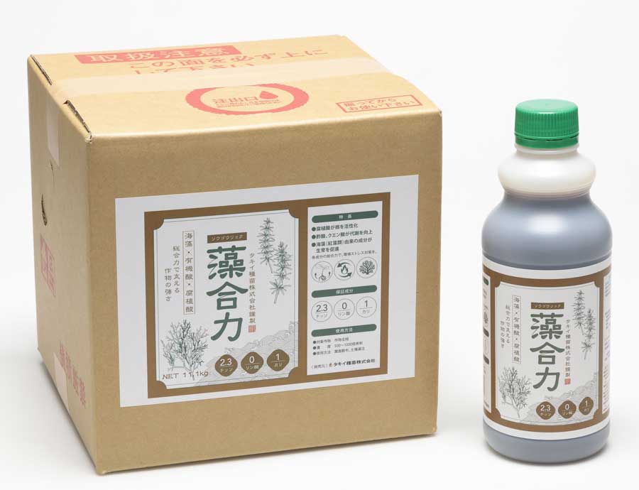 �w�����́x���i�p�b�P�[�W