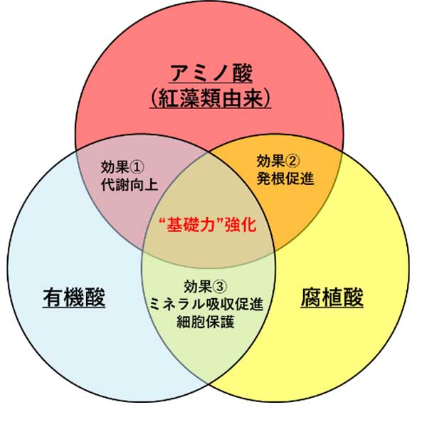 ���e���Ǝ�Ȍ��ʂ̐}