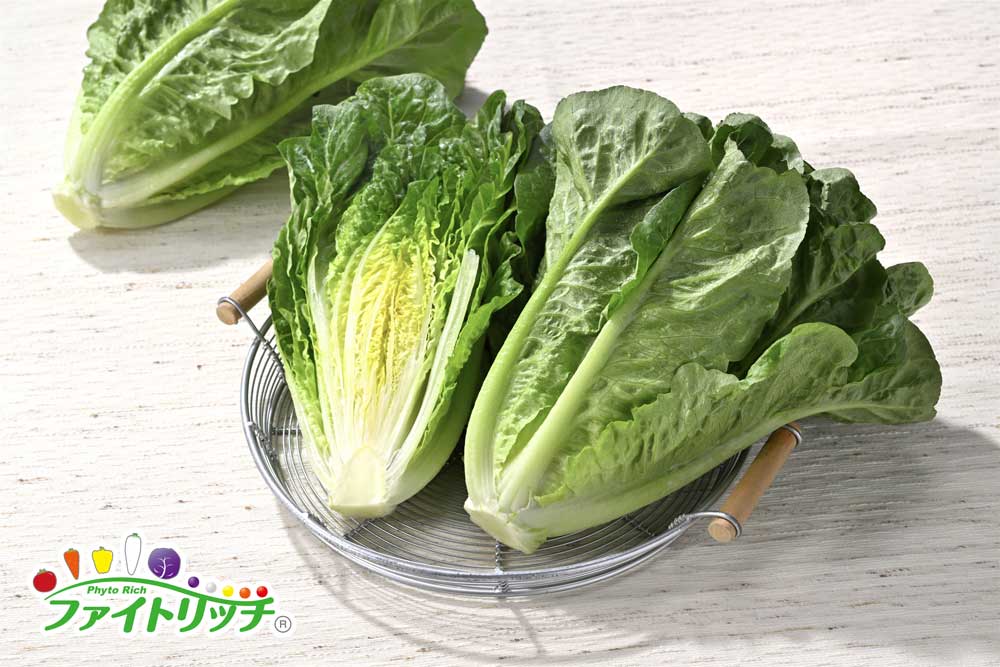 �����C�����^�X�w�A�C�X���}���A�x�̉摜�P