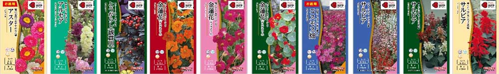 春まき種子11〜20画像
