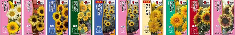 春まき種子41〜50画像