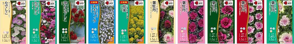 秋まき種子11〜20画像
