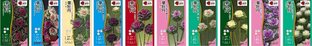 秋まき種子21〜30画像