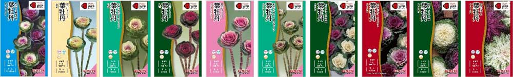 秋まき種子31〜40画像