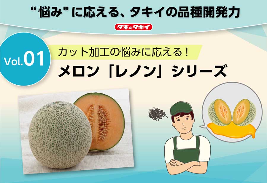 Vol.1 カット加工の悩みに応える!メロン「レノン」シリーズの画像