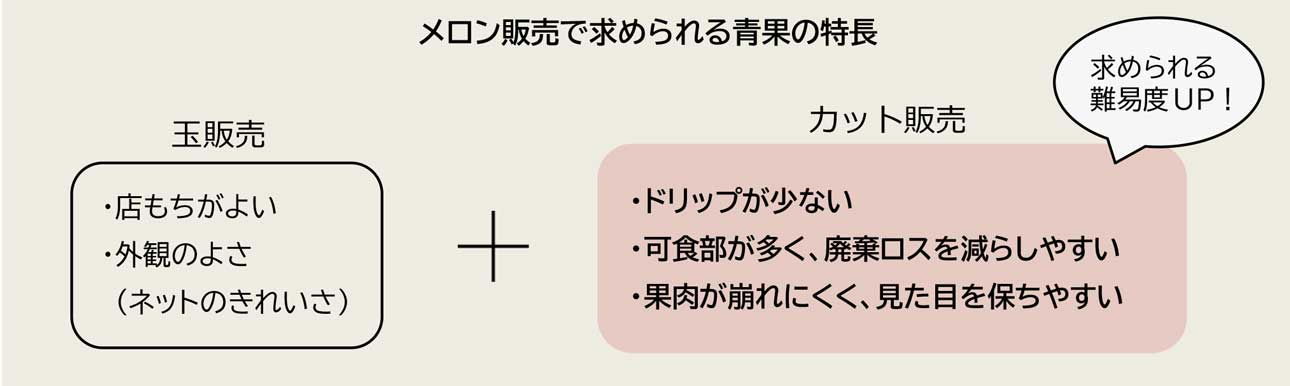 メロン販売で求められる青果の特長の画像