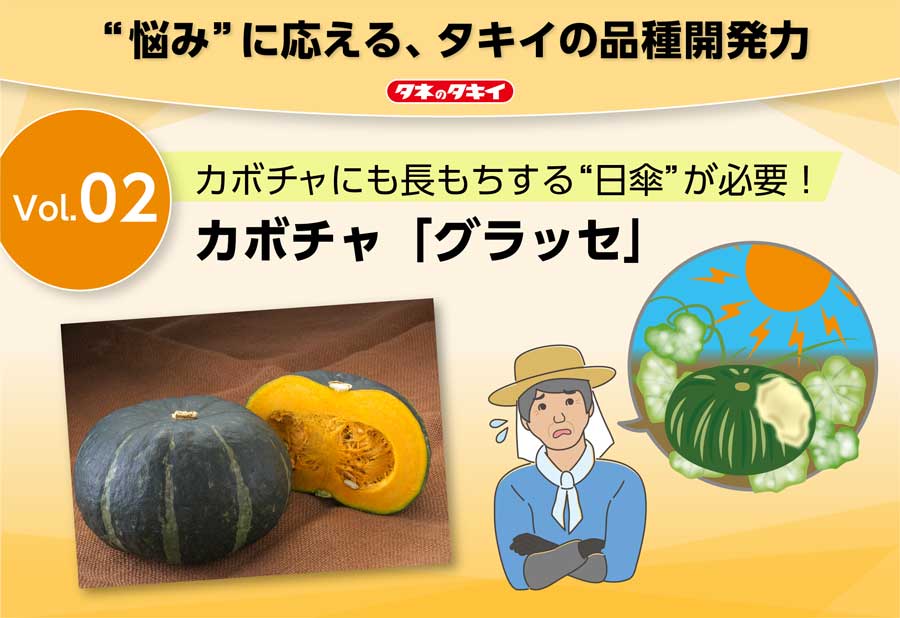 Vol.2 カボチャにも長もちする“日傘”が必要!カボチャ「グラッセ」の画像