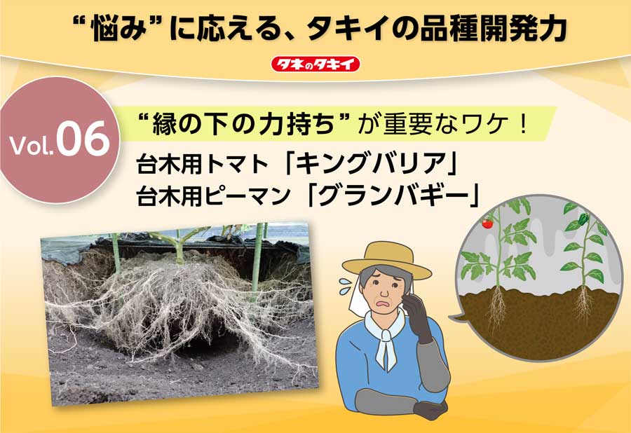 Vol.6&nbsp;�g���̉��̗͎����h���d�v�ȃ��P�I��ؗp�g�}�g�u�L���O�o���A�v��ؗp�s�[�}���u�O�����o�M�[�v�̉摜