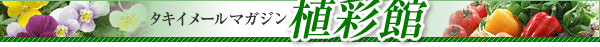 ^LC[}KWwAʊفx