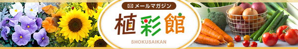 ^LC[}KWwAʊفx