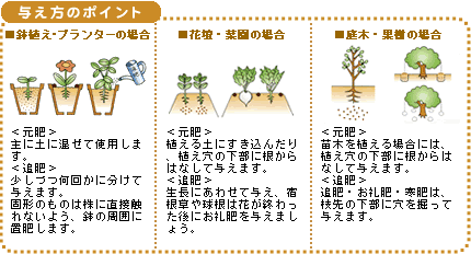 農園芸資材 園芸肥料と用土のａｂｃ タキイ種苗