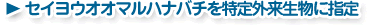セイヨウオオマルハナバチを特定外来生物に指定