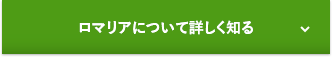 ロマリアについて詳しく知る