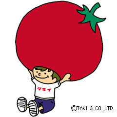 インフォメーション